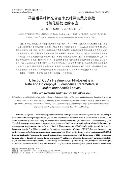 平邑甜茶叶片光合速率及叶绿素荧光参数对氯化镉处理的响应
