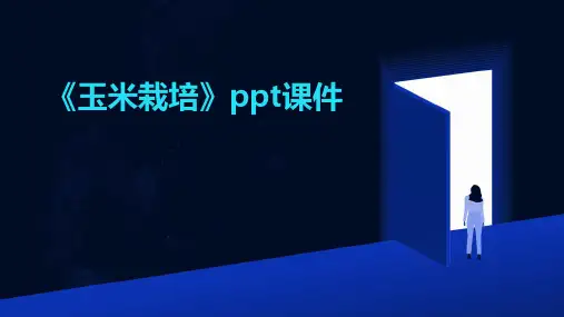 《玉米栽培》课件