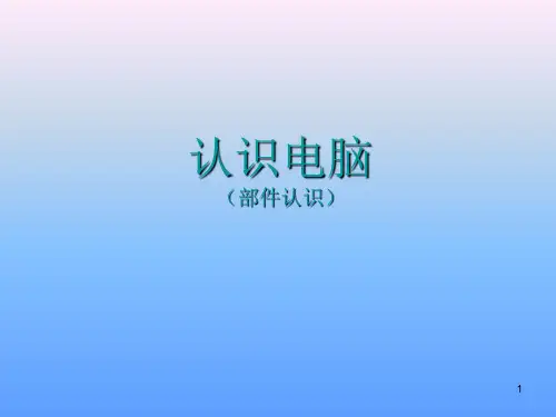 认识电脑(电脑硬件)ppt课件