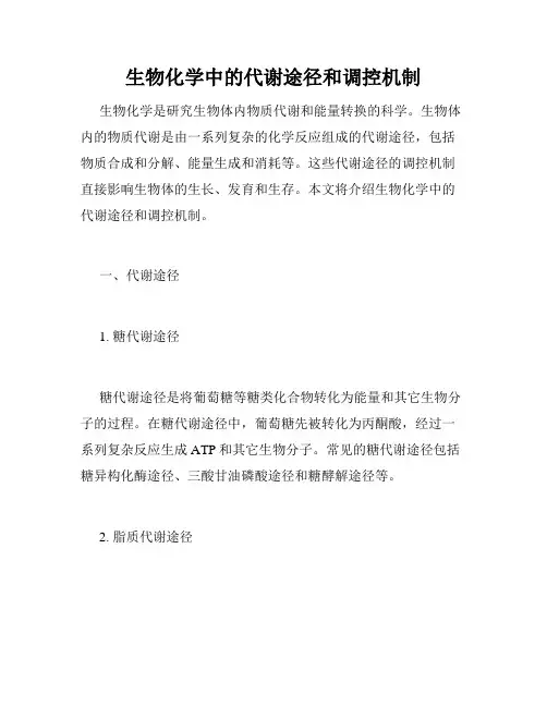 生物化学中的代谢途径和调控机制