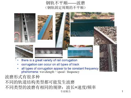 钢轨波磨讲座[业界研究]