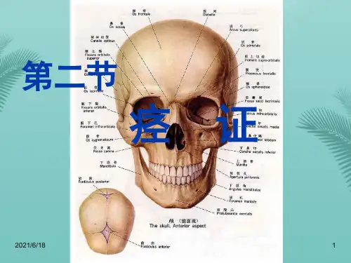中医内科学痉证.优秀精选PPT