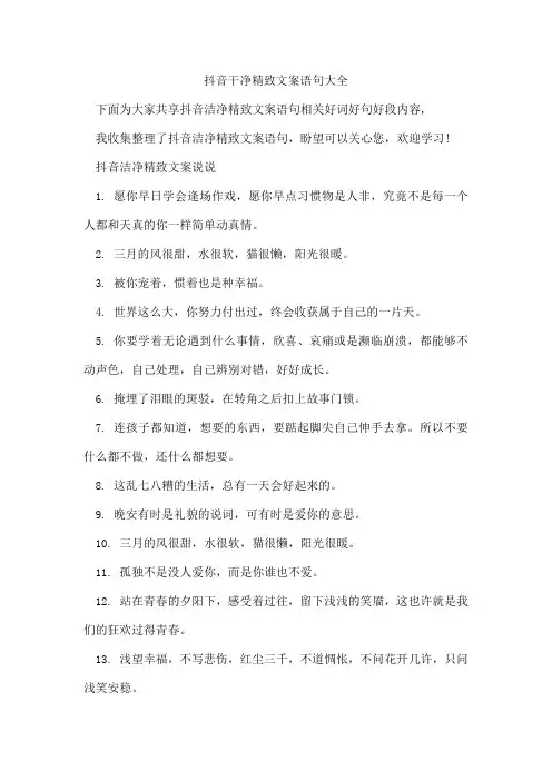 抖音干净精致文案语句