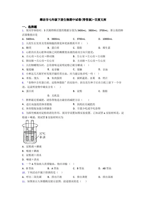 潍坊市七年级下册生物期中试卷(带答案)-百度文库