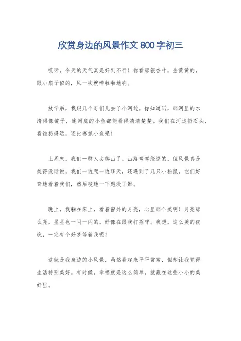 欣赏身边的风景作文800字初三