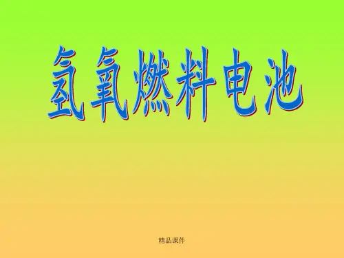 氢氧燃料电池