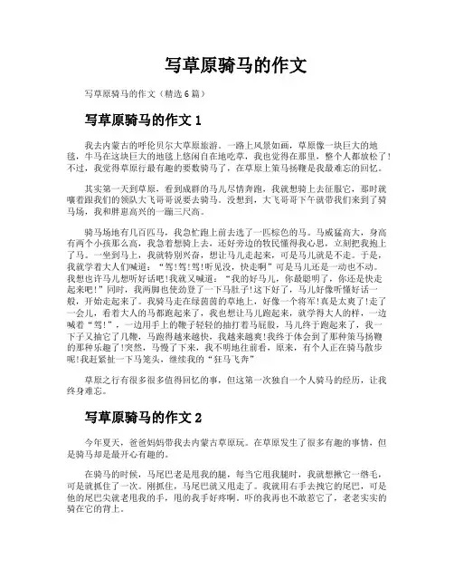 写草原骑马的作文