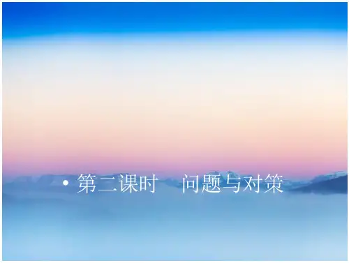 问题与对策课程课件(25页)