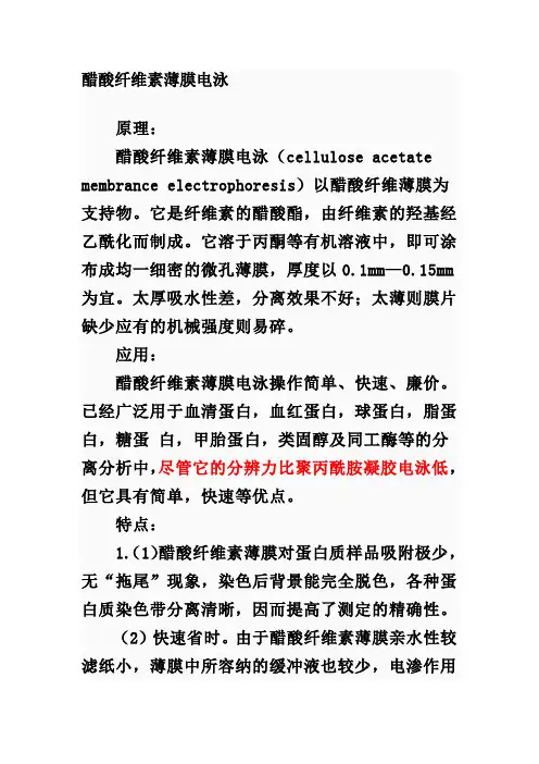 醋酸纤维素薄膜电泳