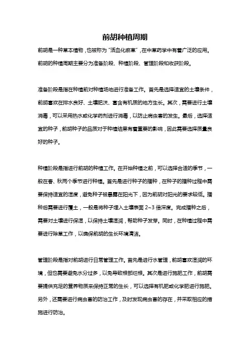 前胡种植周期