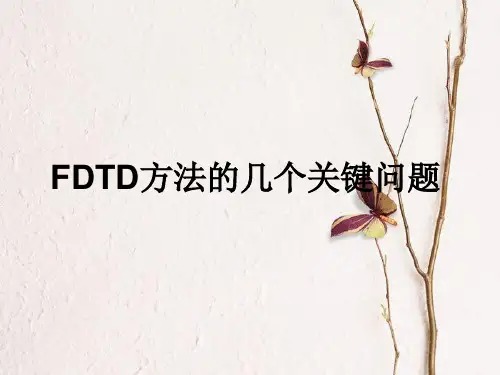 FDTD方法
