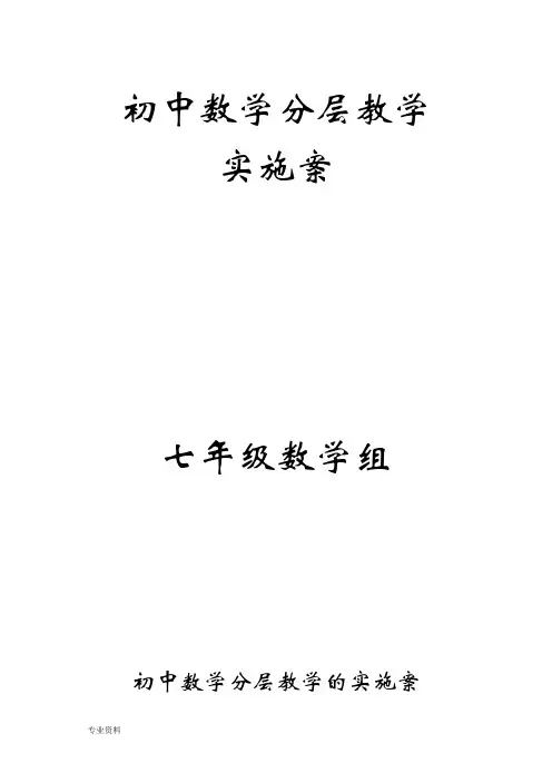 初中数学分层教学的实施计划方案