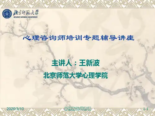 心理咨询师培训课件(社心)