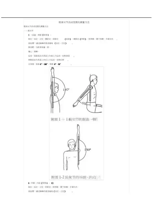 肢体关节活动范围