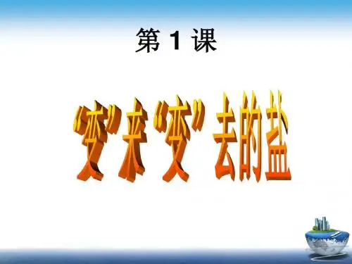 四年级下册科学课件-5.1“变”来“变”去的盐   _湘科版(一起)_6