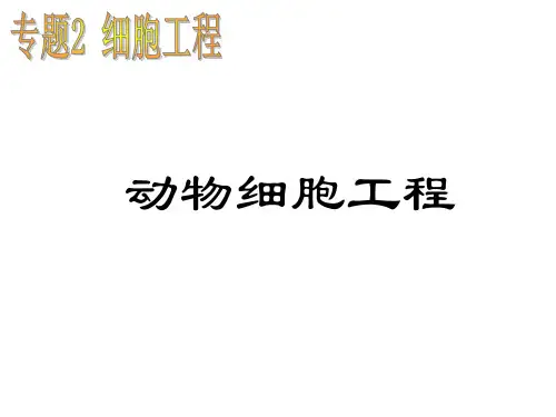 动物细胞培养和核移植技术-刁金山