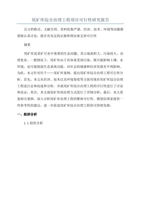 尾矿库综合治理工程项目可行性研究报告