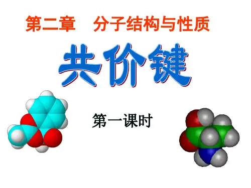分子结构与性质ppt课件