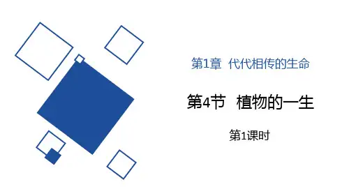 浙教版七年级下册科学《植物的一生》说课教学课件学习