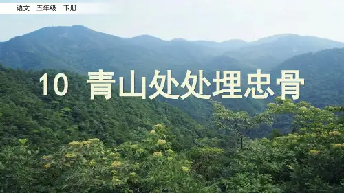 [部编版]《青山处处埋忠骨》PPT课件五年级下册第10课