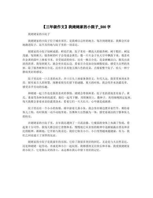 【三年级作文】我姥姥家的小院子_500字
