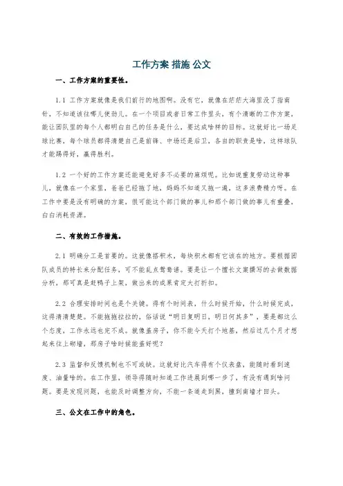 工作方案 措施 公文