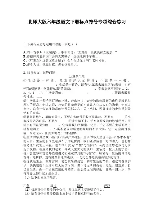 北师大版六年级语文下册标点符号专项综合练习
