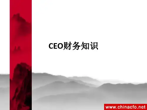 CEO财务知识ppt课件