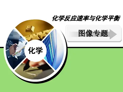 化学反应速率与化学平衡 图像专题