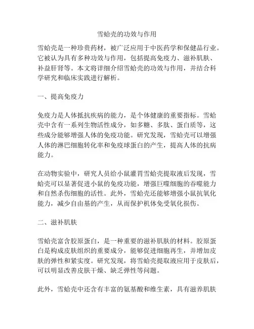 雪蛤壳的功效与作用