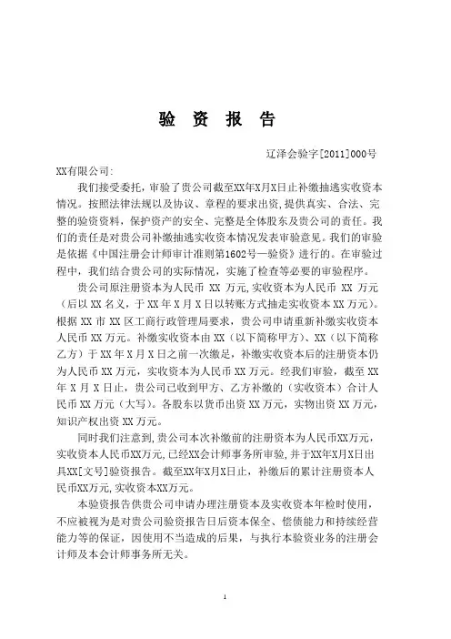 补充抽逃资金报告