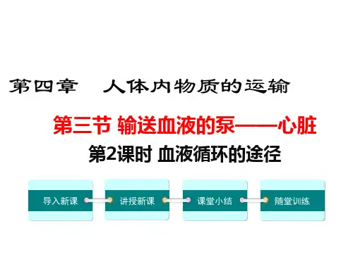 最新人教版七年级生物下册《血液循环的途径》精品ppt课件