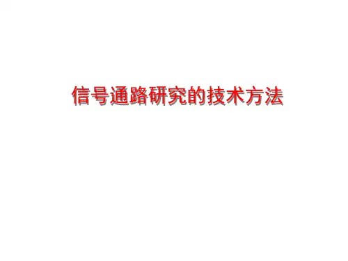 信号通路研究的技术方法