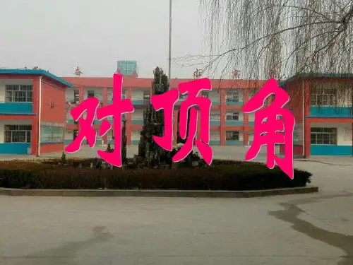 华东师大版数学七年级上册对顶角精品课件PPT2