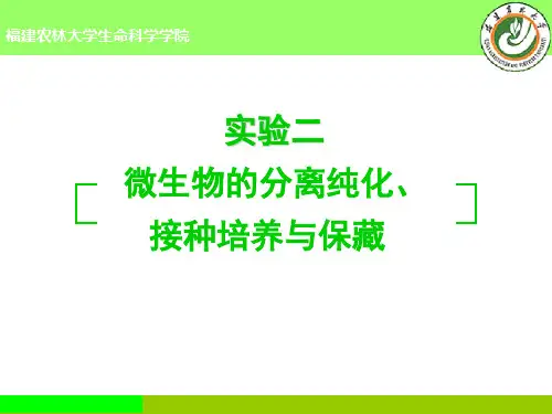 实验三微生物的分离纯化与观察ppt课件