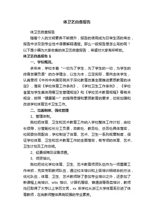 体卫艺自查报告