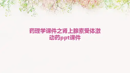药理学课件之肾上腺素受体激动药PPT课件