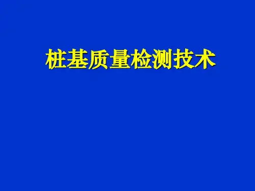 桩基检测技术(完整版)