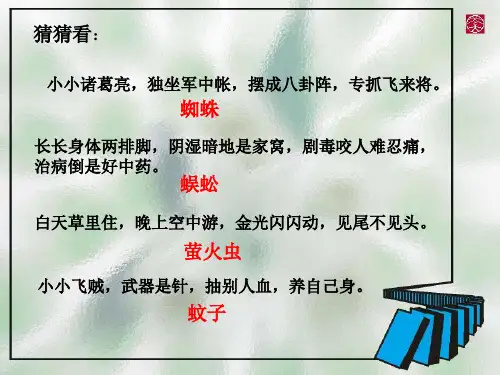 《绿色蝈蝈》6PPT课件