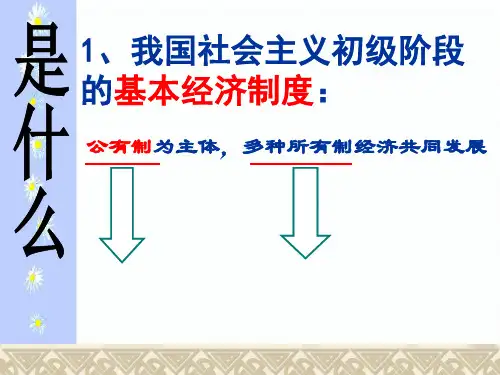 公有制经济主体地位