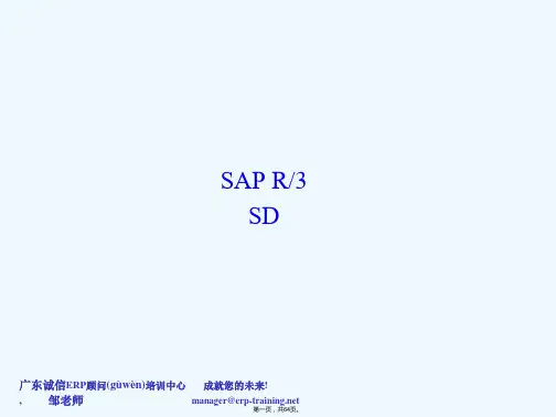 《SAPSD培训资料》PPT课件