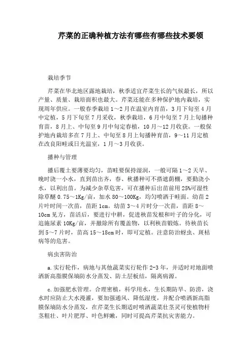芹菜的正确种植方法有哪些有哪些技术要领