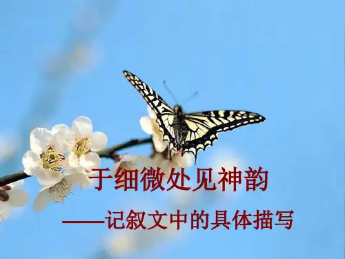 中考作文专题复习：细节描写作文指导(22页)ppt精品课件
