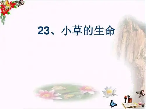 二年级语文上册第23课小草的生命精选教学PPT课件鄂教版