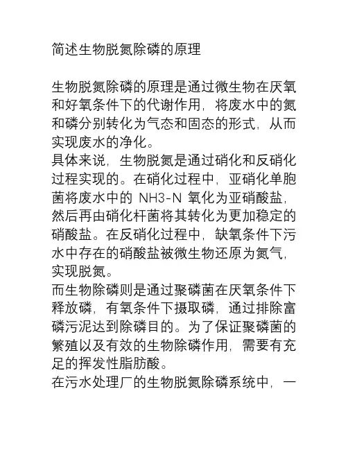简述生物脱氮除磷的原理