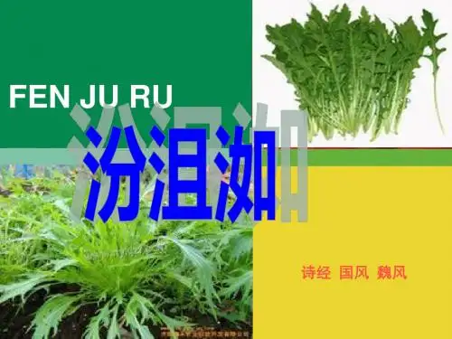 彼汾一方言采其桑彼其之子-魏风汾沮洳诗经