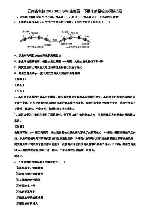 云南省名校2019-2020学年生物高一下期末质量检测模拟试题含解析