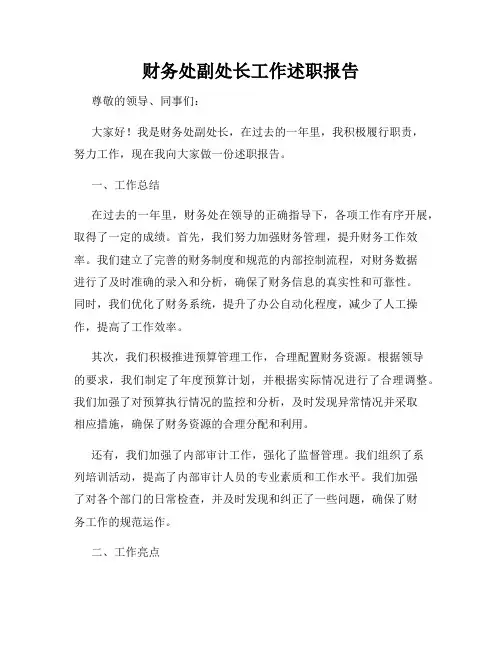 财务处副处长工作述职报告