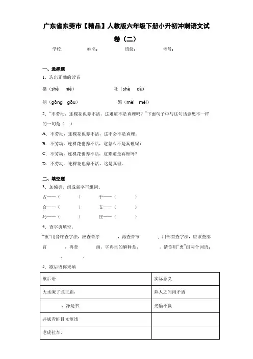 人教版六年级下册小升初冲刺语文试卷(二)(含答案解析)