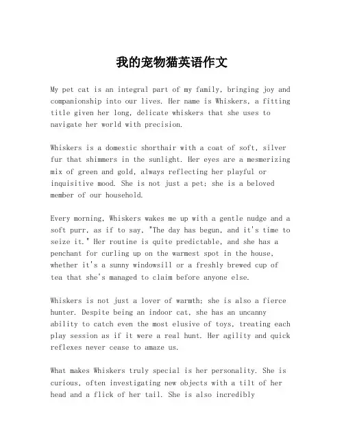 我的宠物猫英语作文